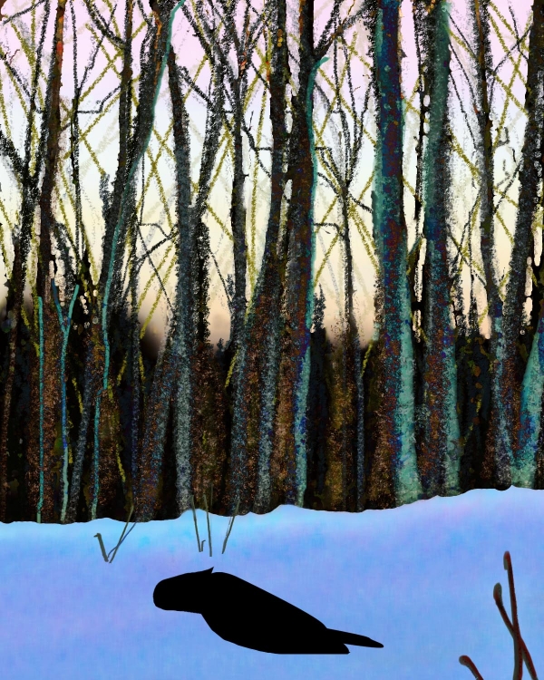 Creation of Winter Solstice: Step 5